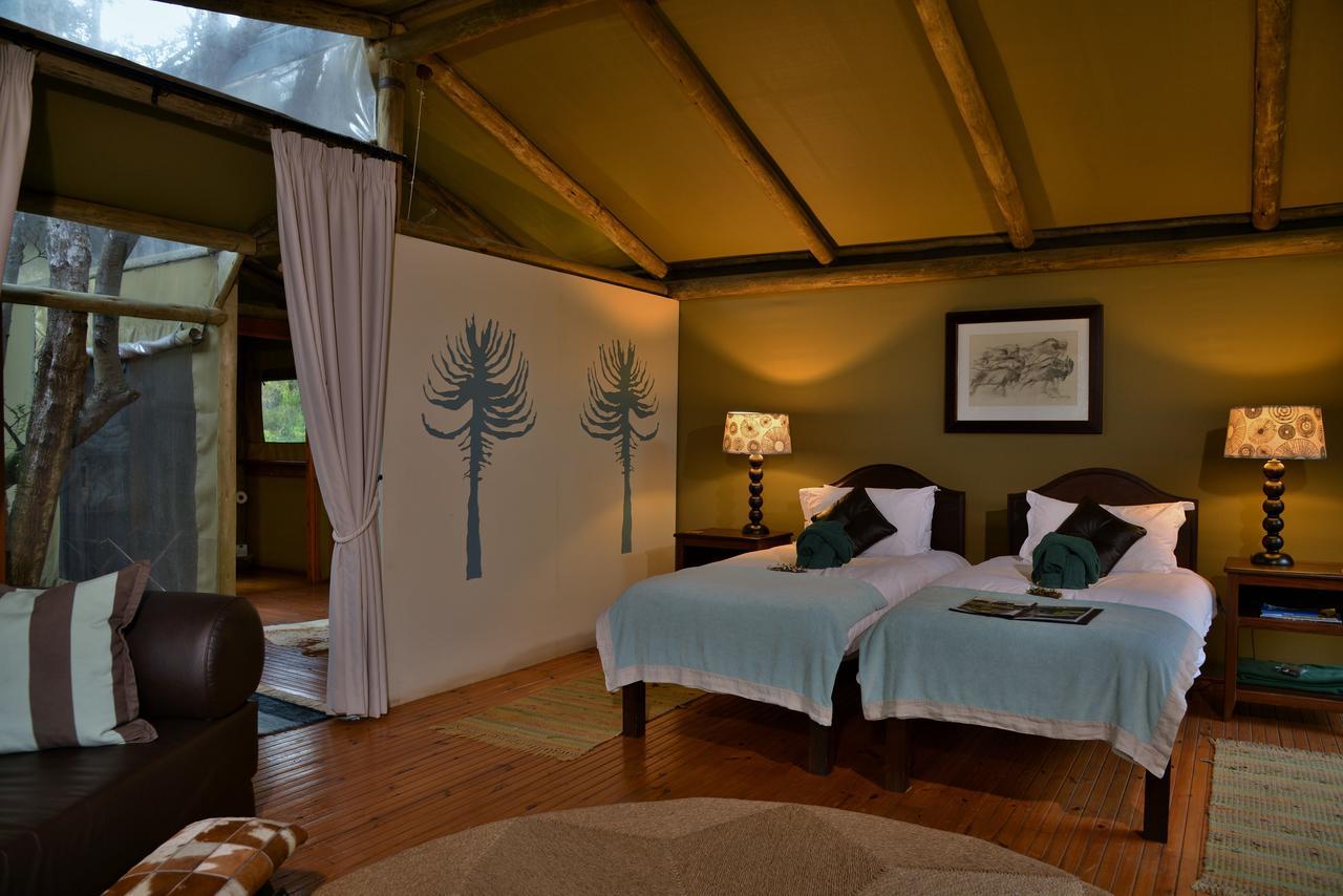 Sibuya Game Reserve And Lodge Kenton-on-Sea Zewnętrze zdjęcie